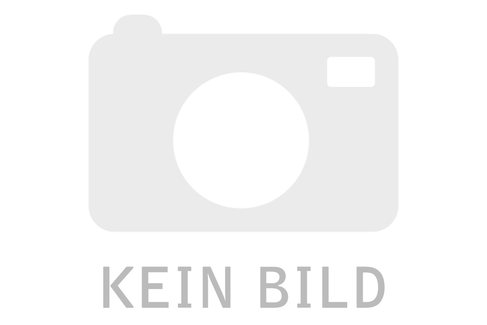 Puutarhatuolit taitettavat 4 kpl kova puu tiikki, Puutarhatuolit 2 kpl kova puu tiikki