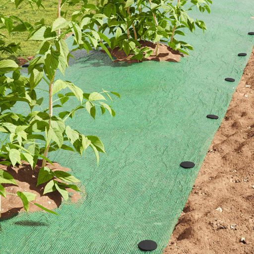 Muovipinnat 100 pcs Musta 3 x 11 cm Muovi