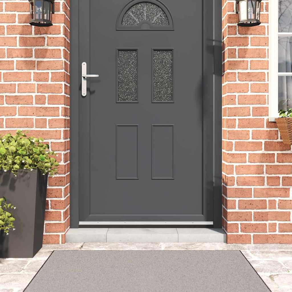 Kierteellinen oven harjasulku 2 pcs Hopea 100 cm Alumiiniseos