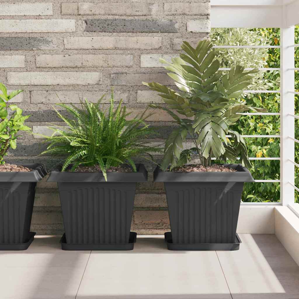 Kasviruukut 6 pcs Musta 33 x 33 x 26 cm Muovi