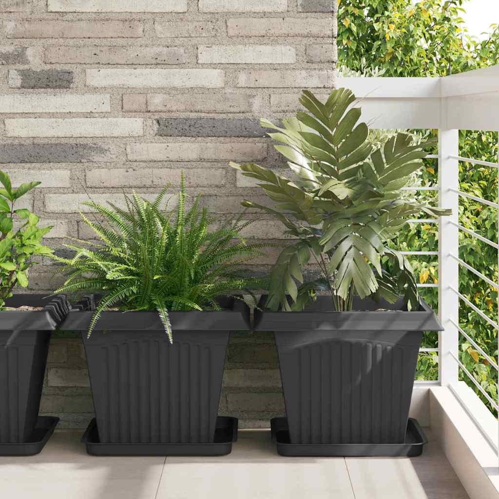 Kasviruukut 6 pcs Musta 43 x 43 x 33,5 cm Muovi