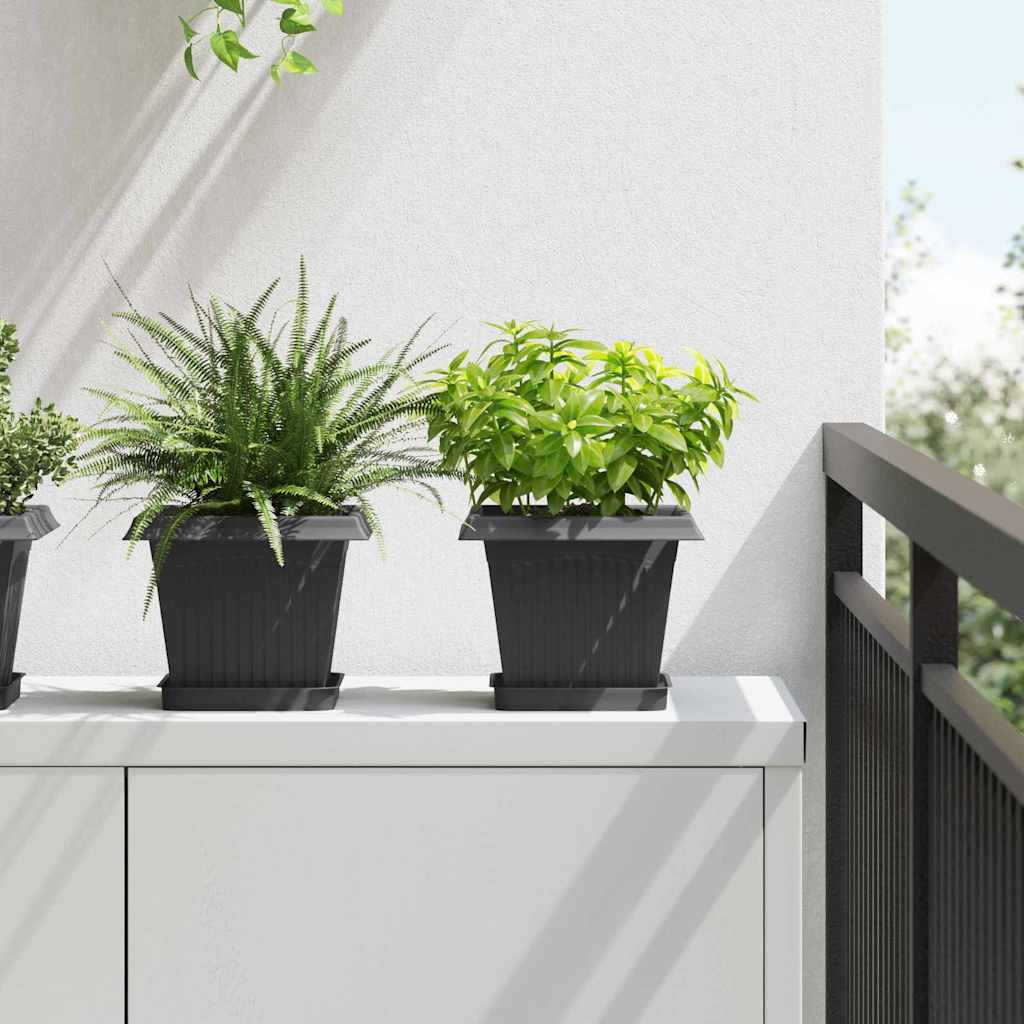 Neliömainen Kukka-alusta 6 pcs Musta 15 x 15 x 2 cm Muovi